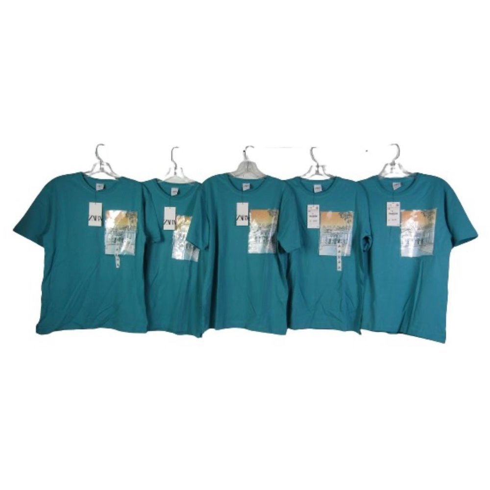 COPY - Zara T-Shirts 
Lot of 5
(4) Medium
(1) Large
Please see all photos as th…